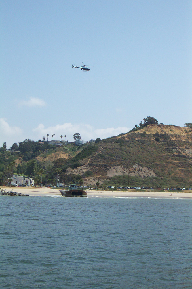 dcp_2601.jpg