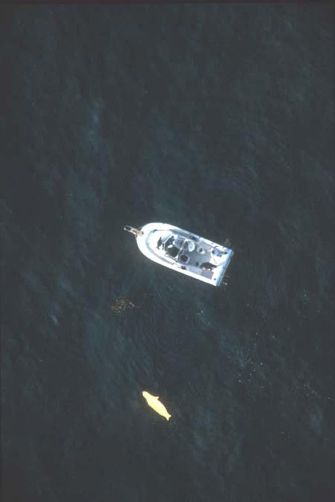 img054.jpg