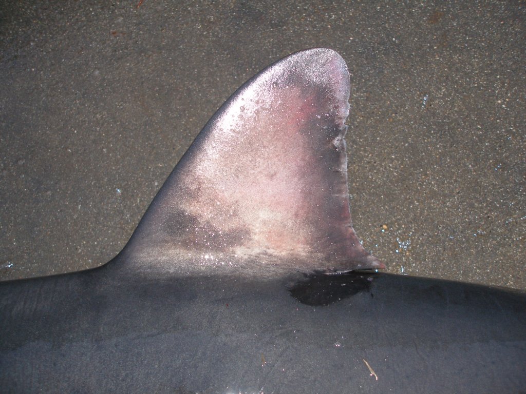 photo6.jpg