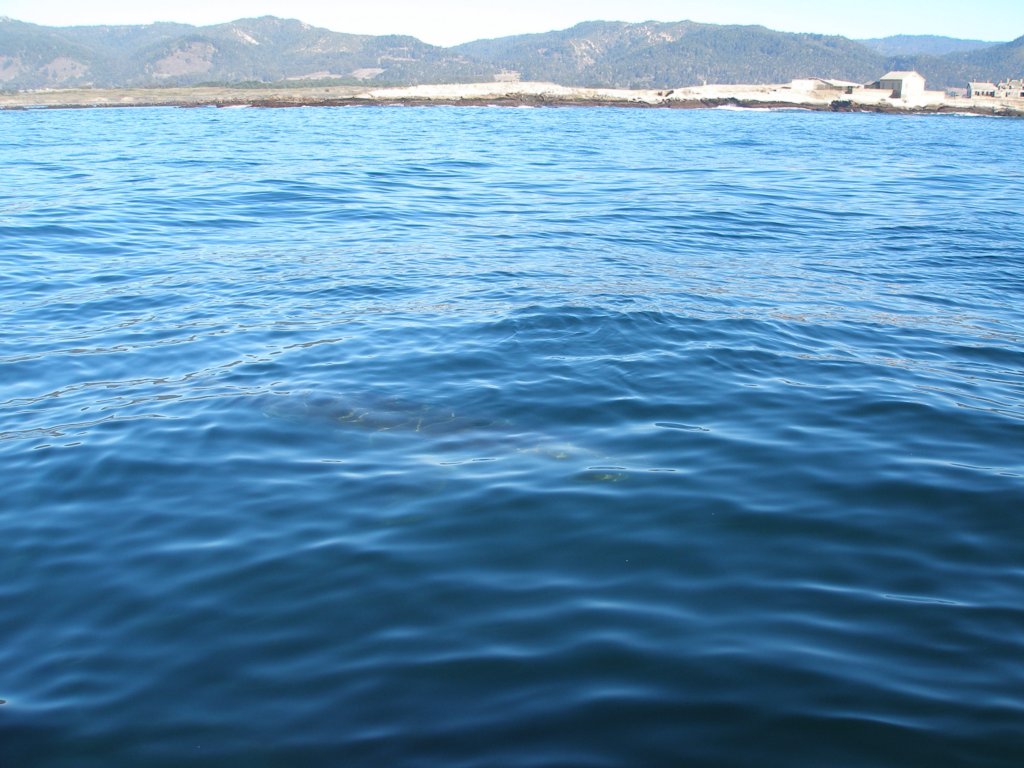 photo15.jpg