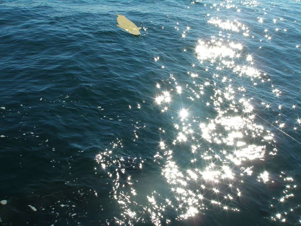 photo2.jpg