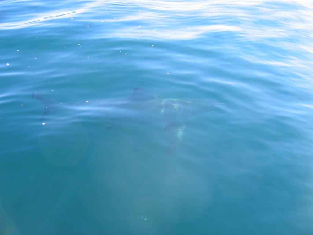 photo16.jpg