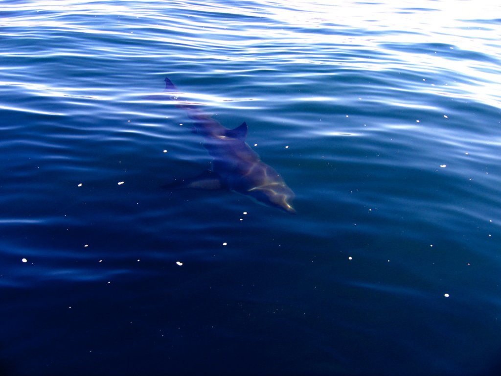 photo5.jpg