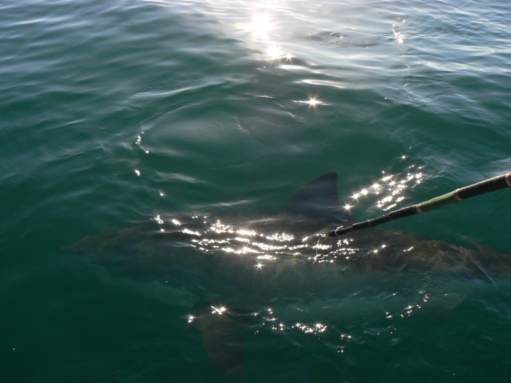 photo7.jpg