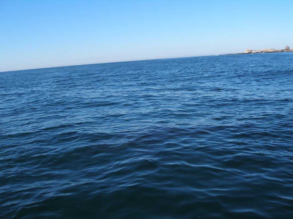 photo10.jpg