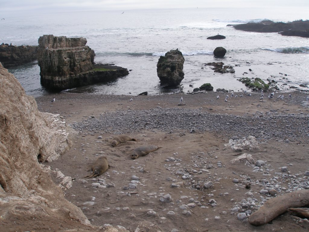 photo46.jpg