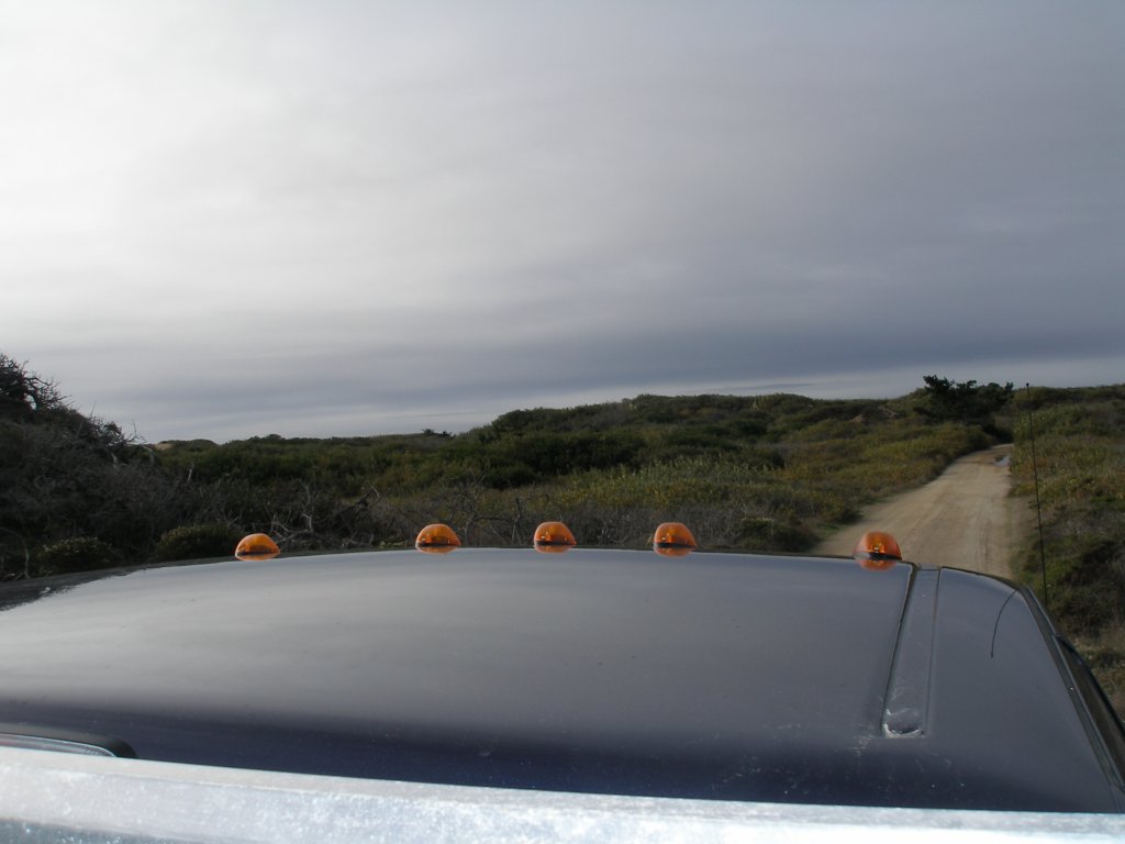 photo6.jpg