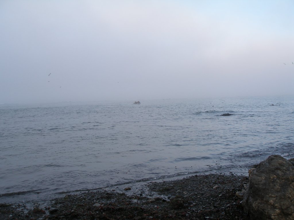 photo69.jpg