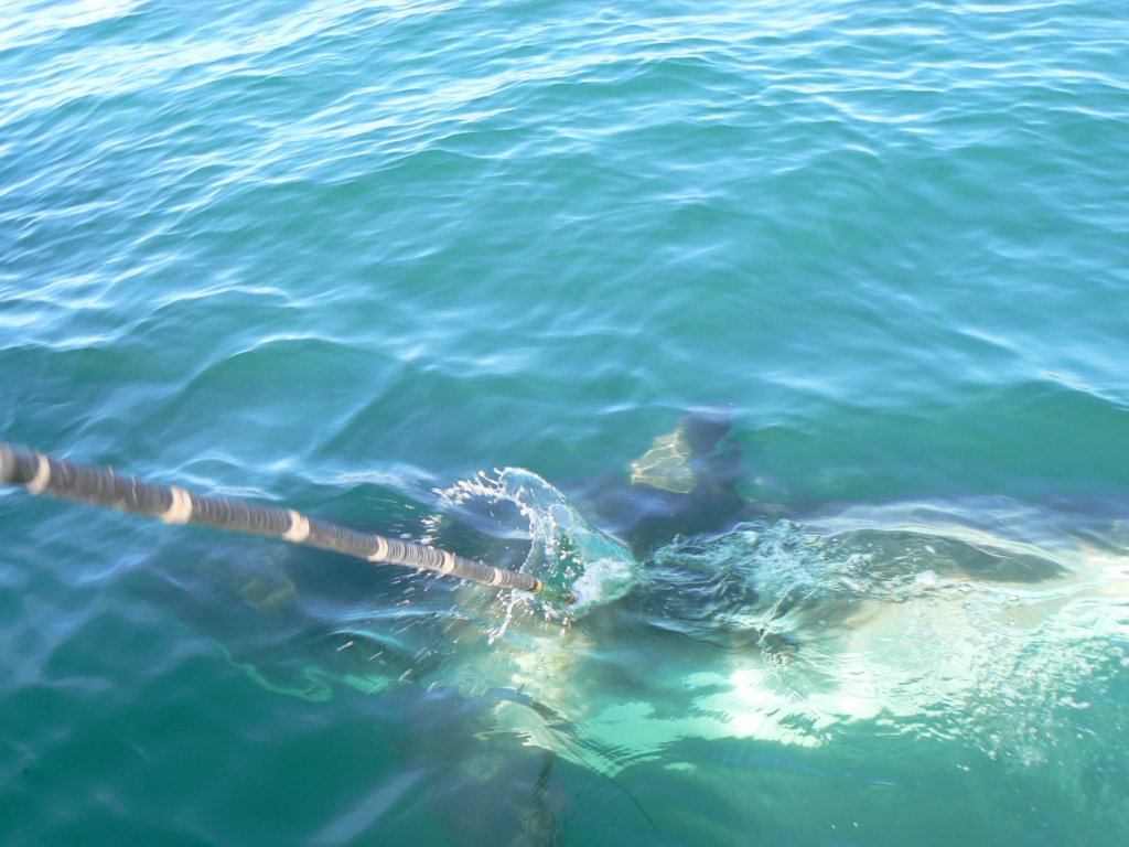 photo24.jpg