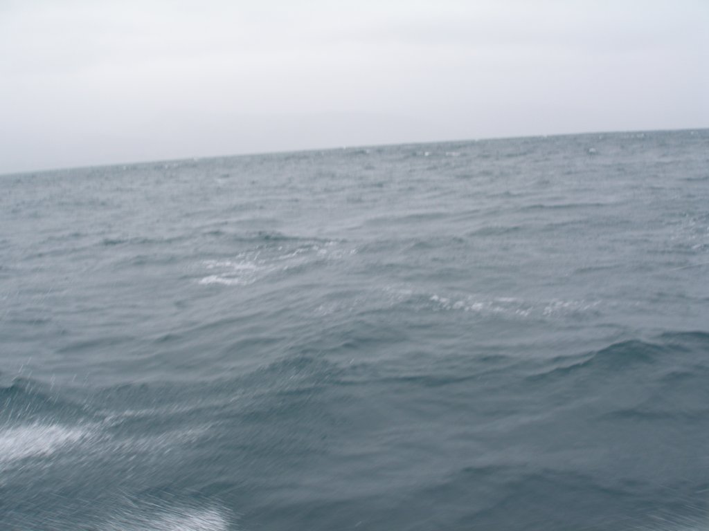 photo11.jpg