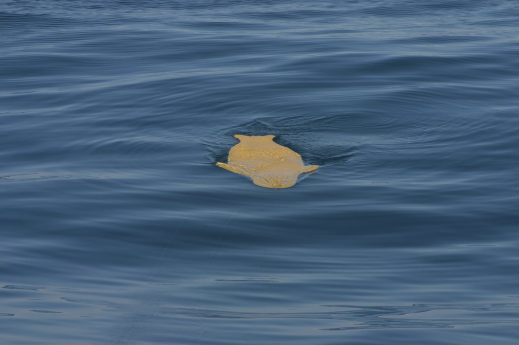 photo12.jpg