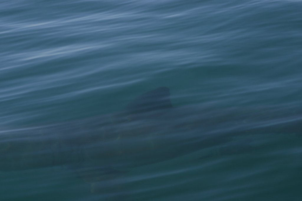 photo18.jpg