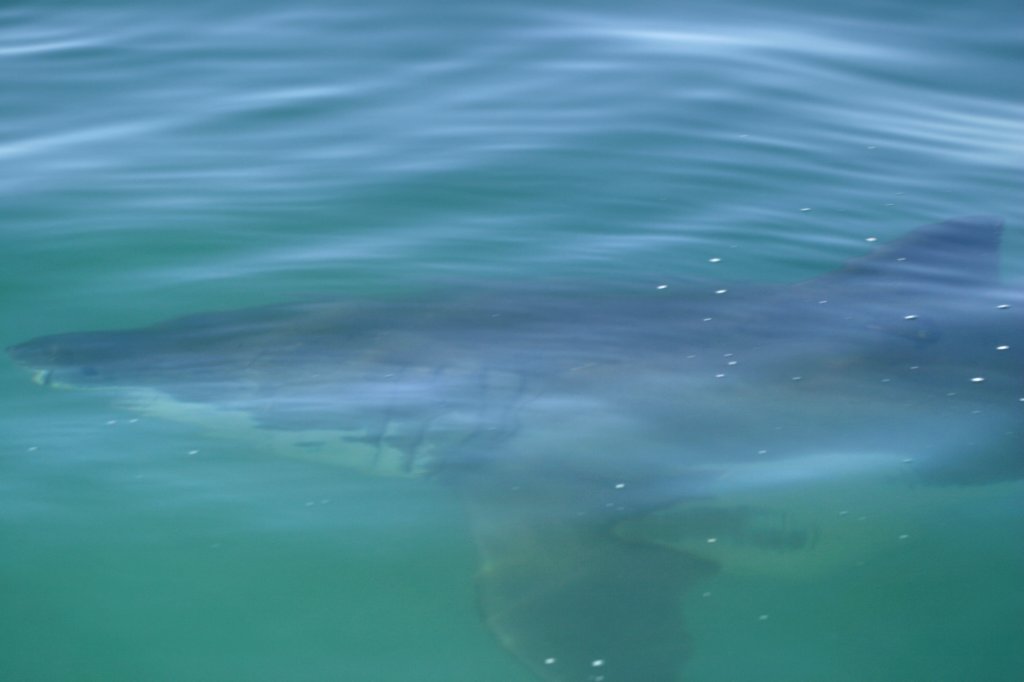 photo27.jpg