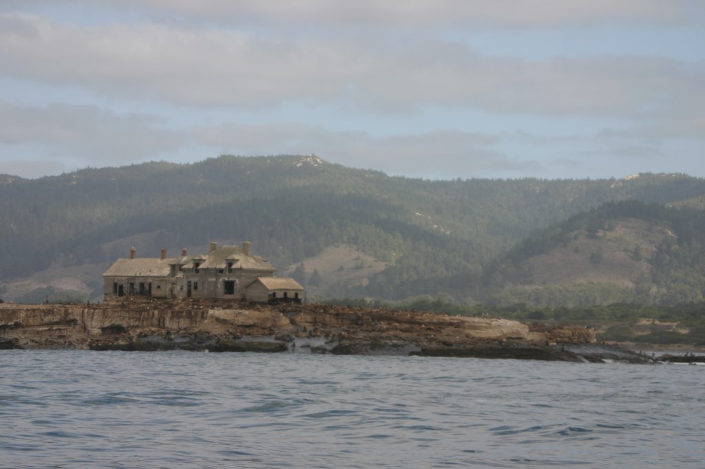 photo2.jpg