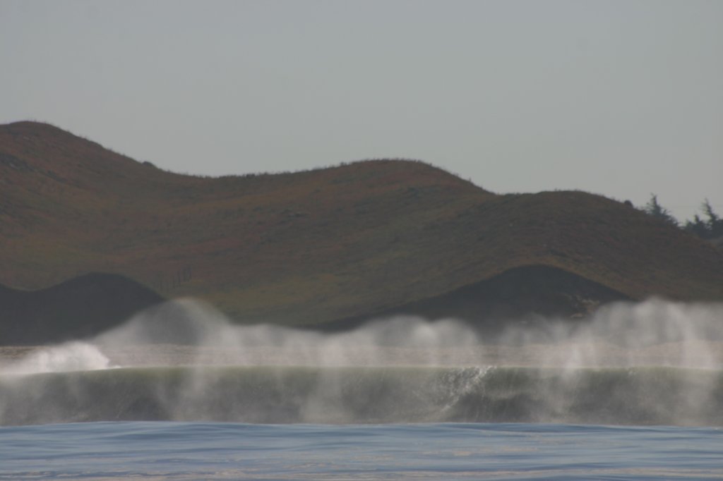 photo11.jpg