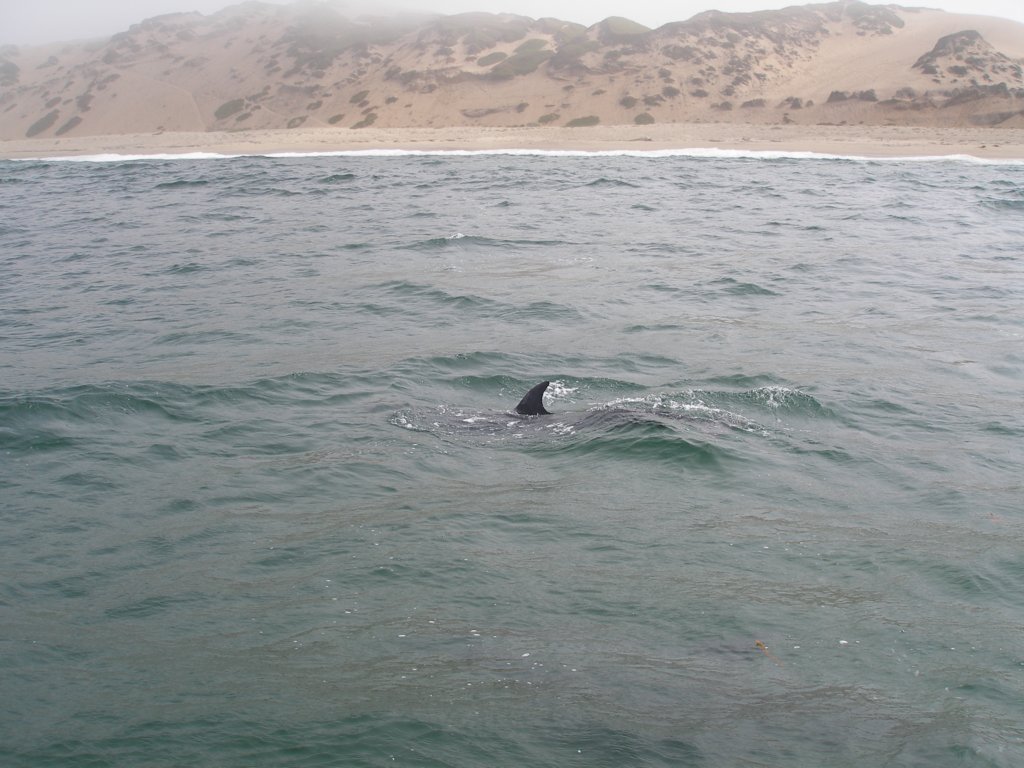 photo24.jpg