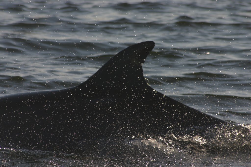 photo28.jpg