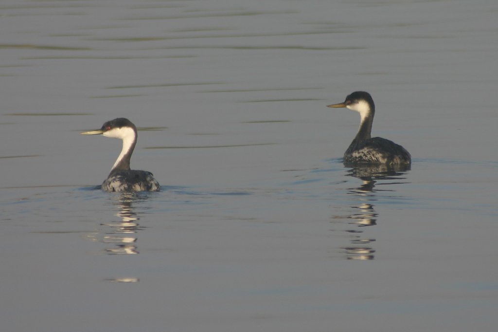 photo7.jpg