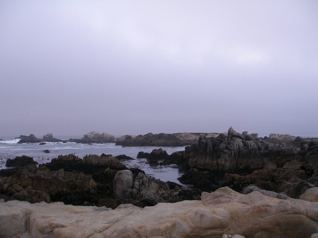 photo44.jpg