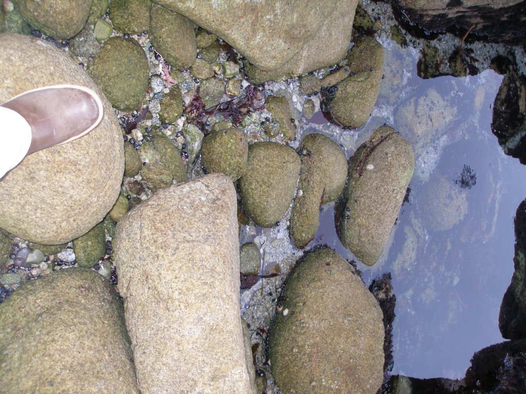 photo48.jpg