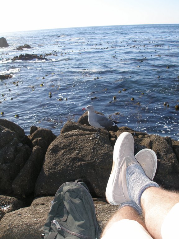 photo54.jpg