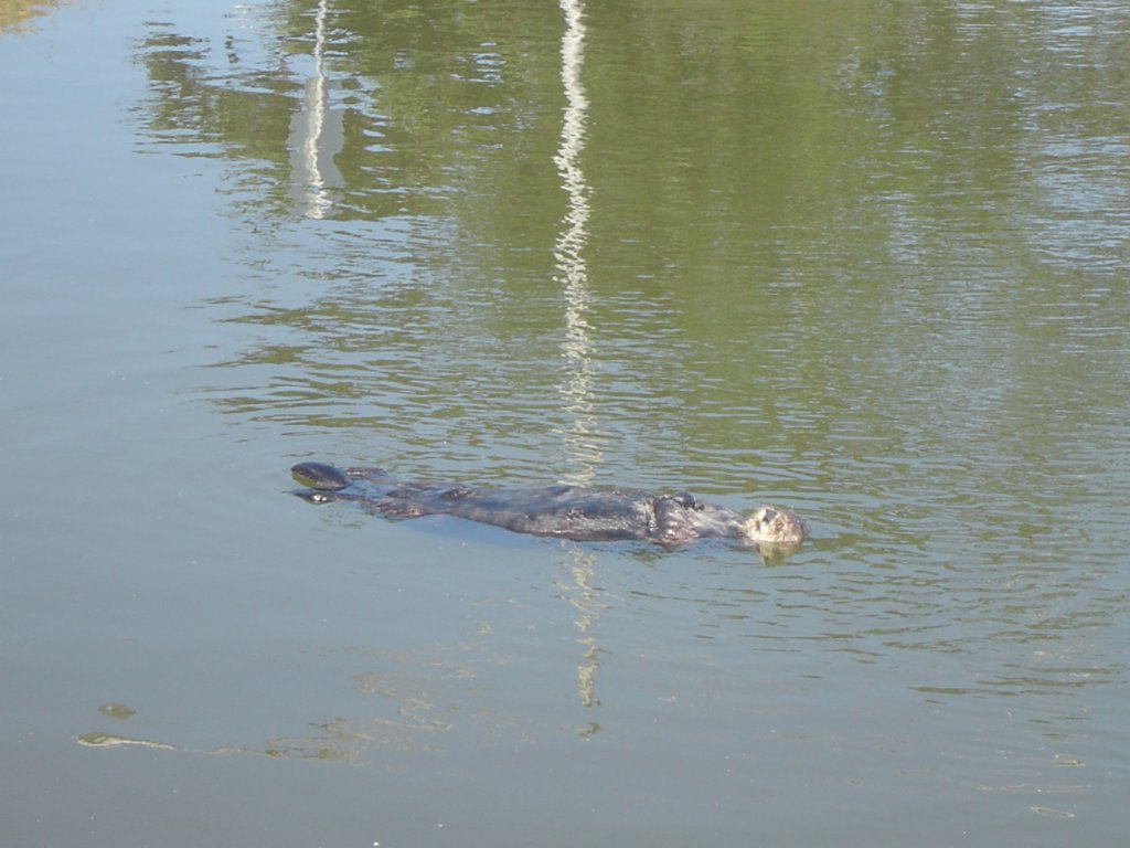 photo29.jpg