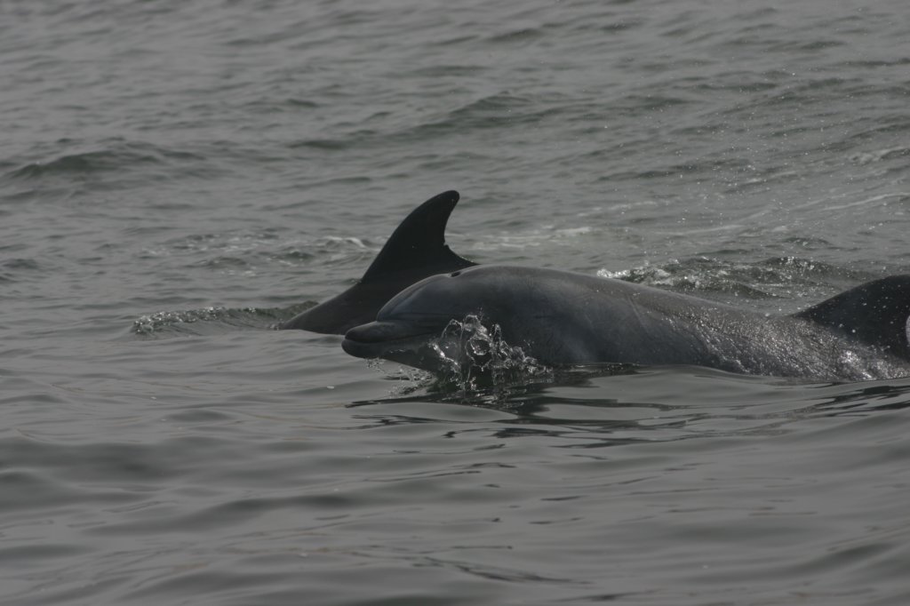 photo22.jpg