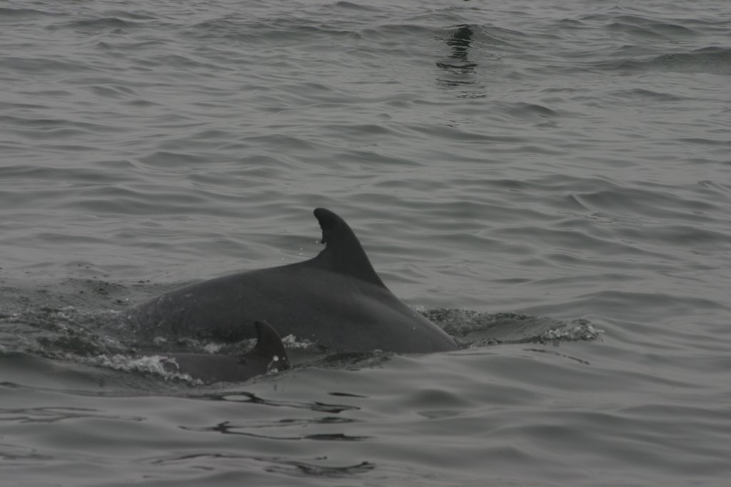 photo23.jpg