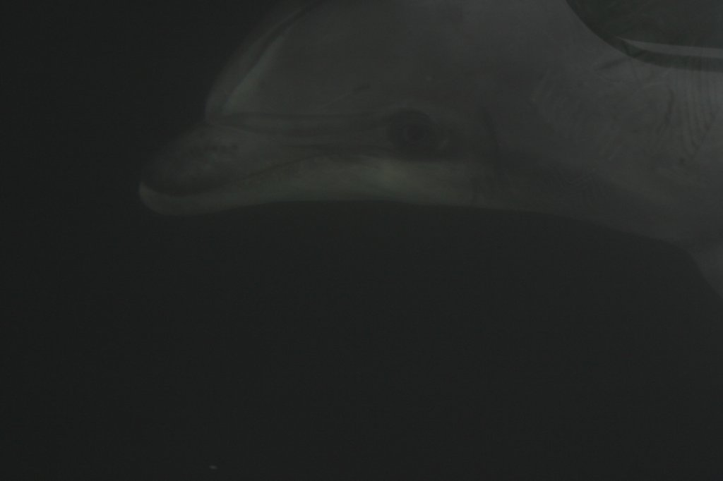 photo11.jpg