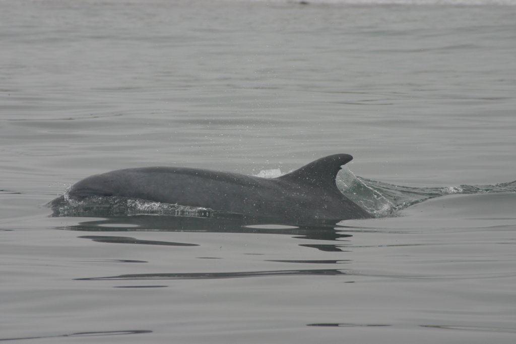 photo20.jpg