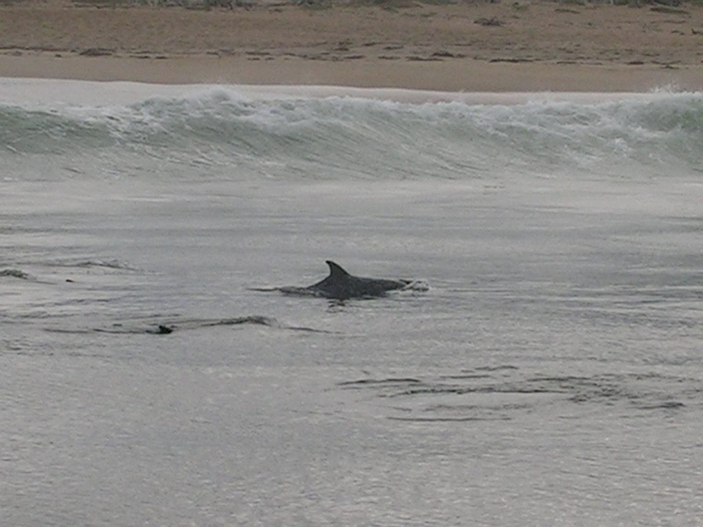photo26.jpg