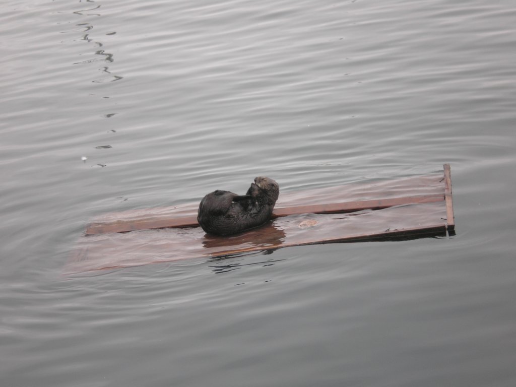photo12.jpg