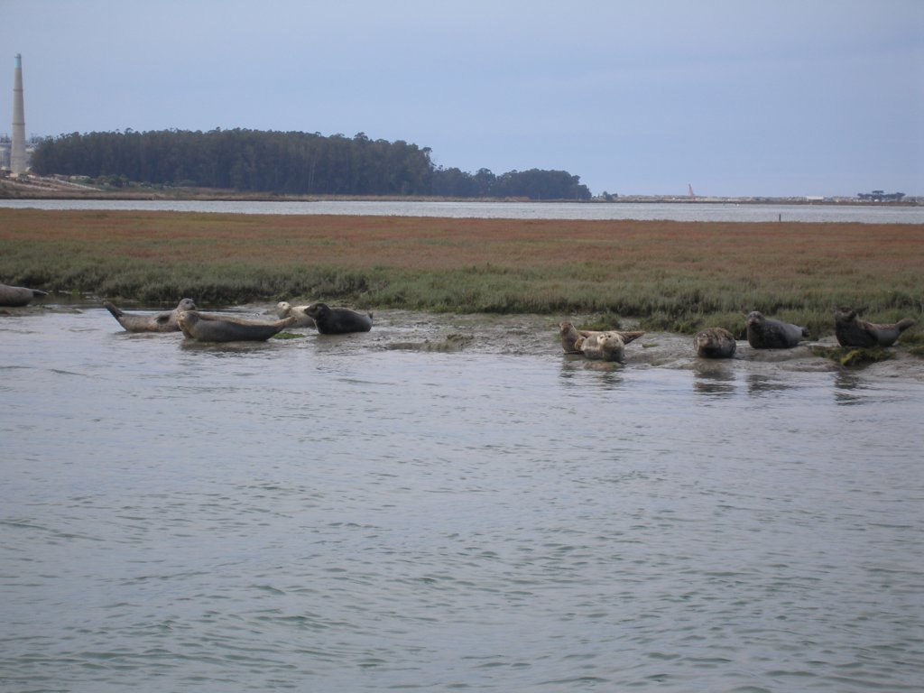 photo20.jpg