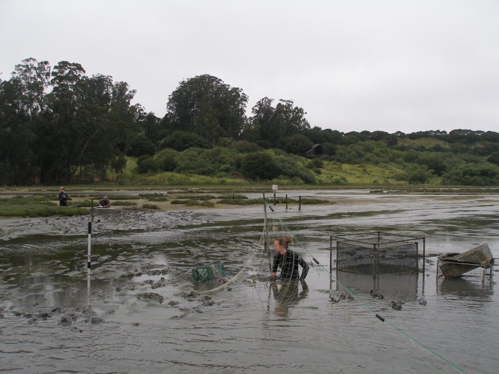 photo9.jpg