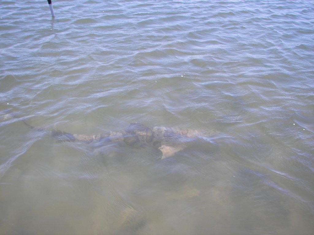 photo27.jpg