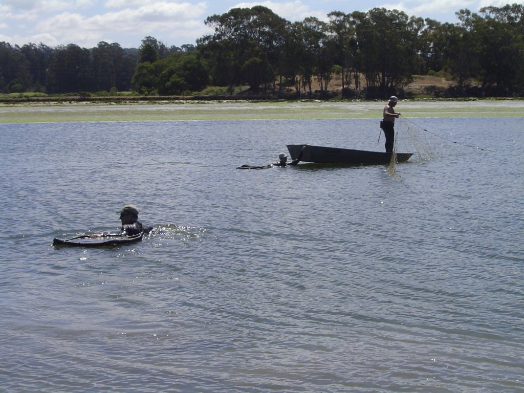 photo11.jpg