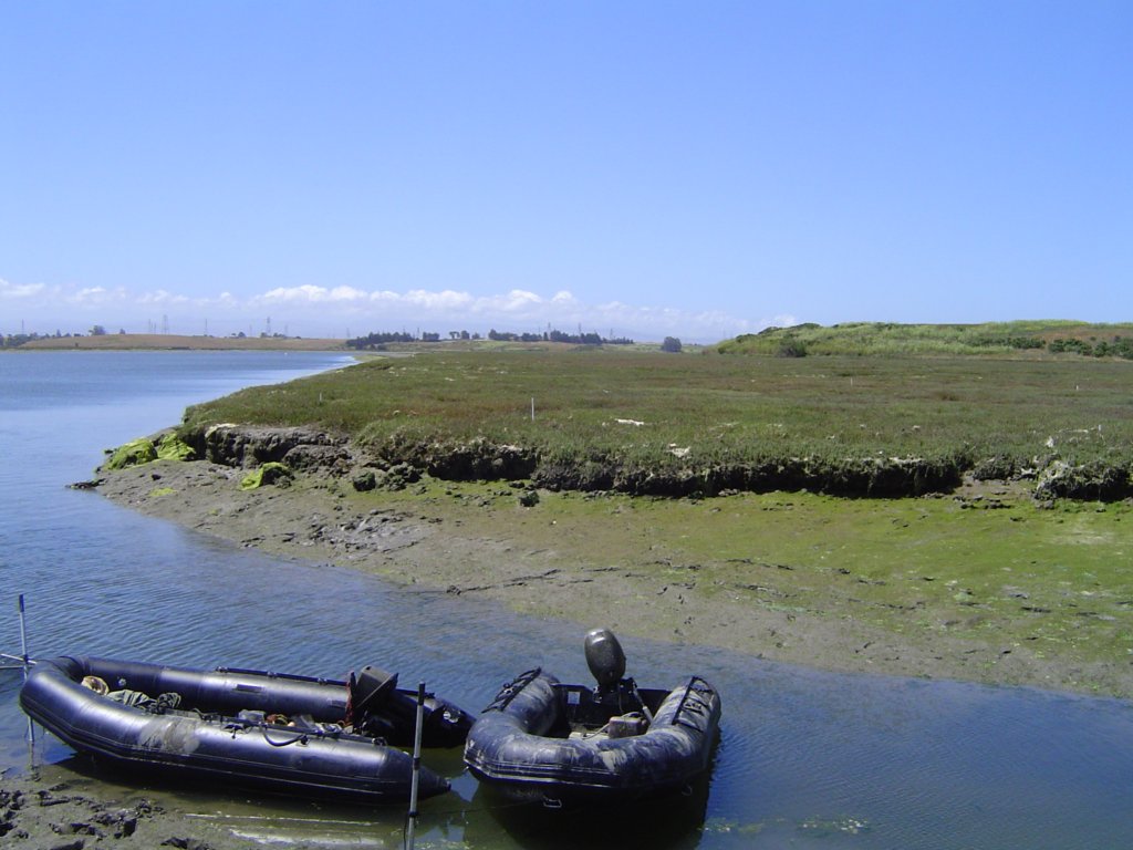 photo15.jpg