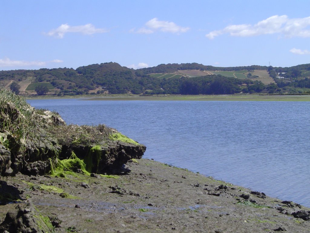 photo5.jpg