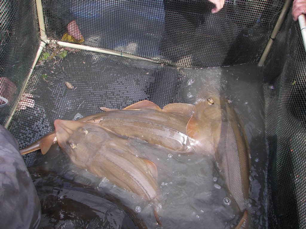 photo11.jpg