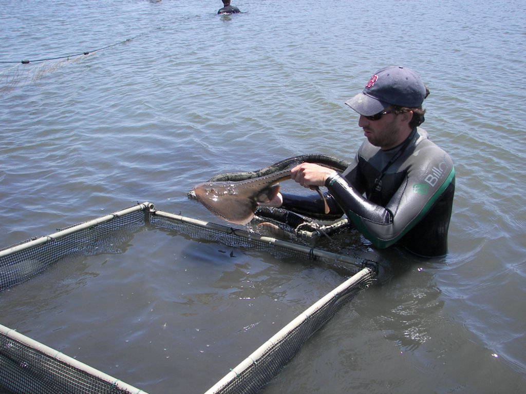 photo5.jpg