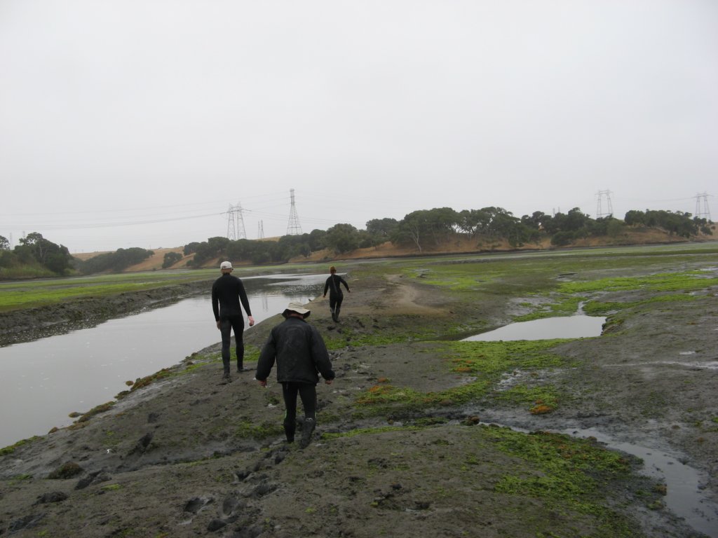 photo29.jpg