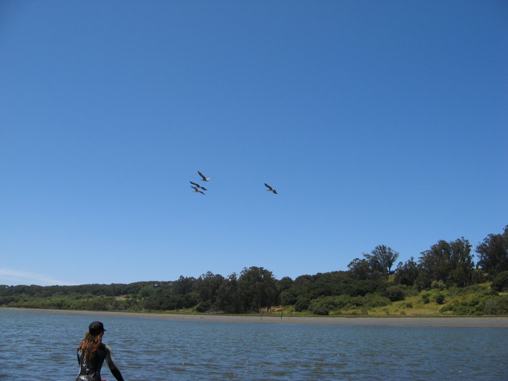 photo13.jpg