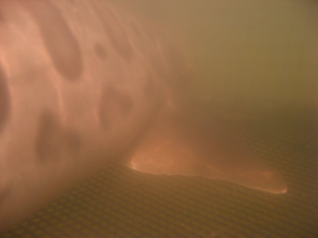 photo2.jpg