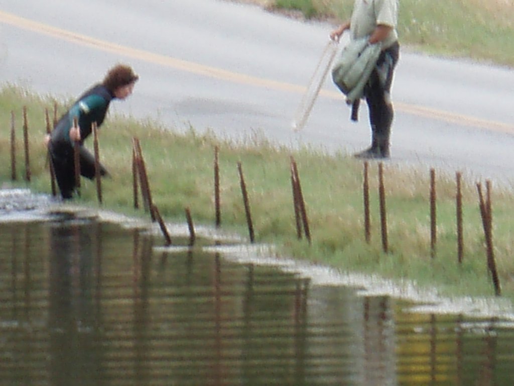 photo29.jpg