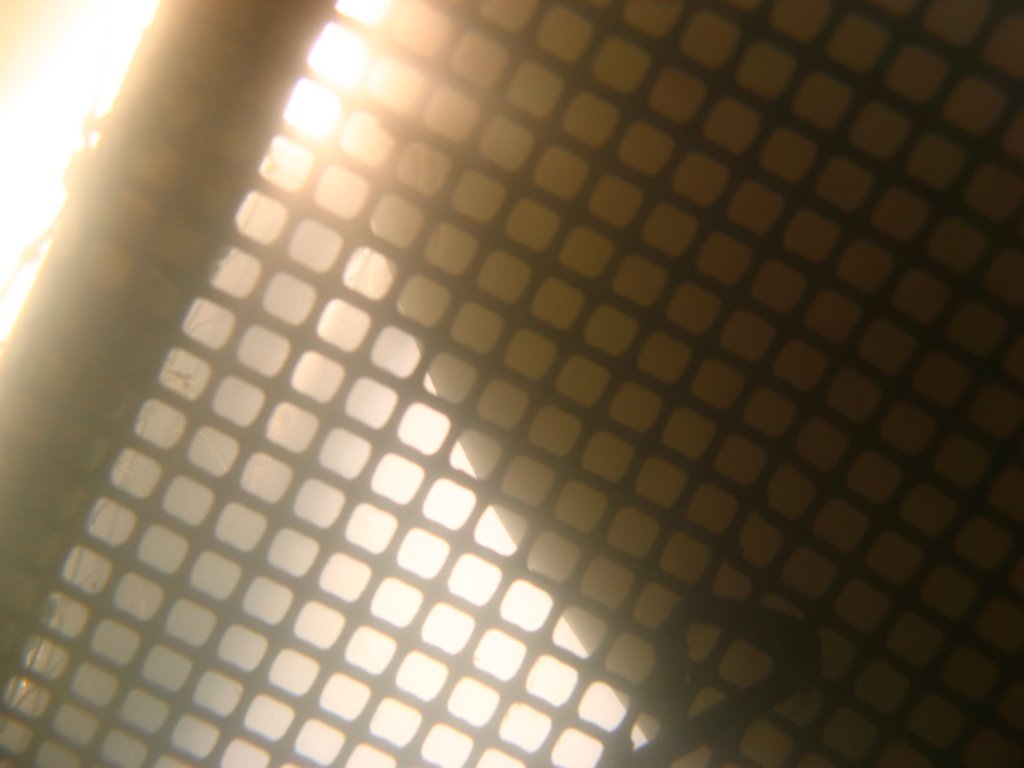 photo5.jpg