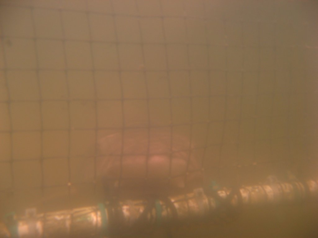 photo7.jpg
