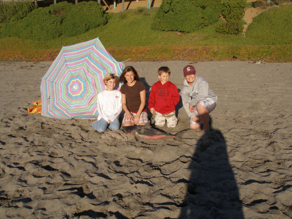 photo3.jpg