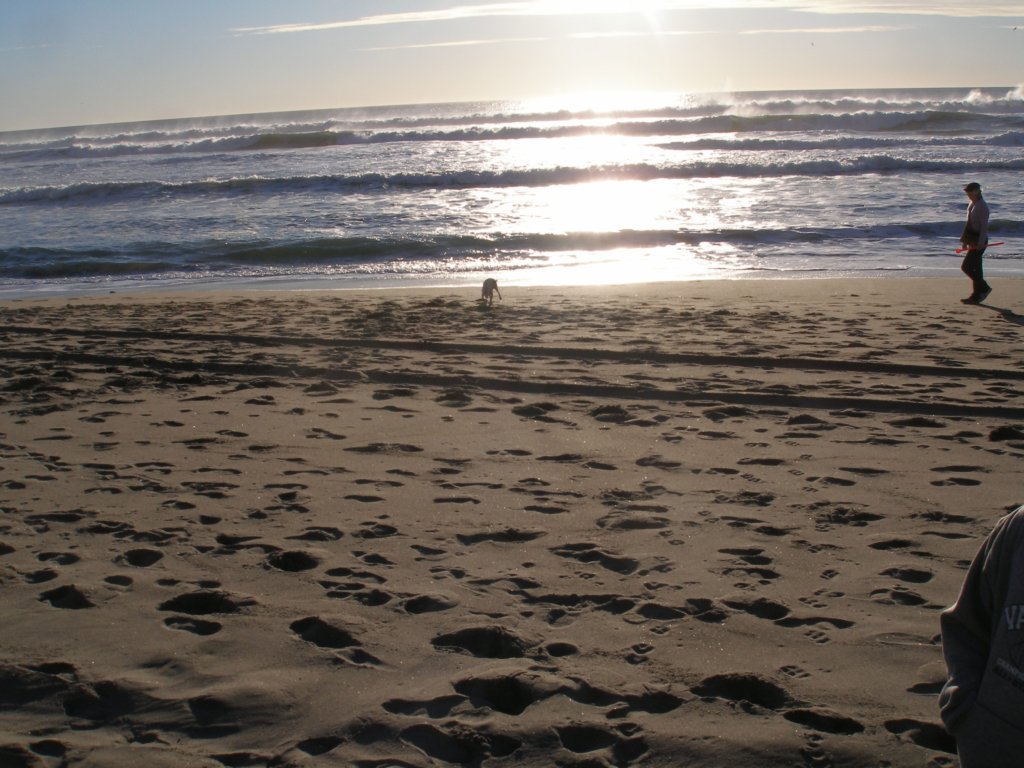 photo6.jpg