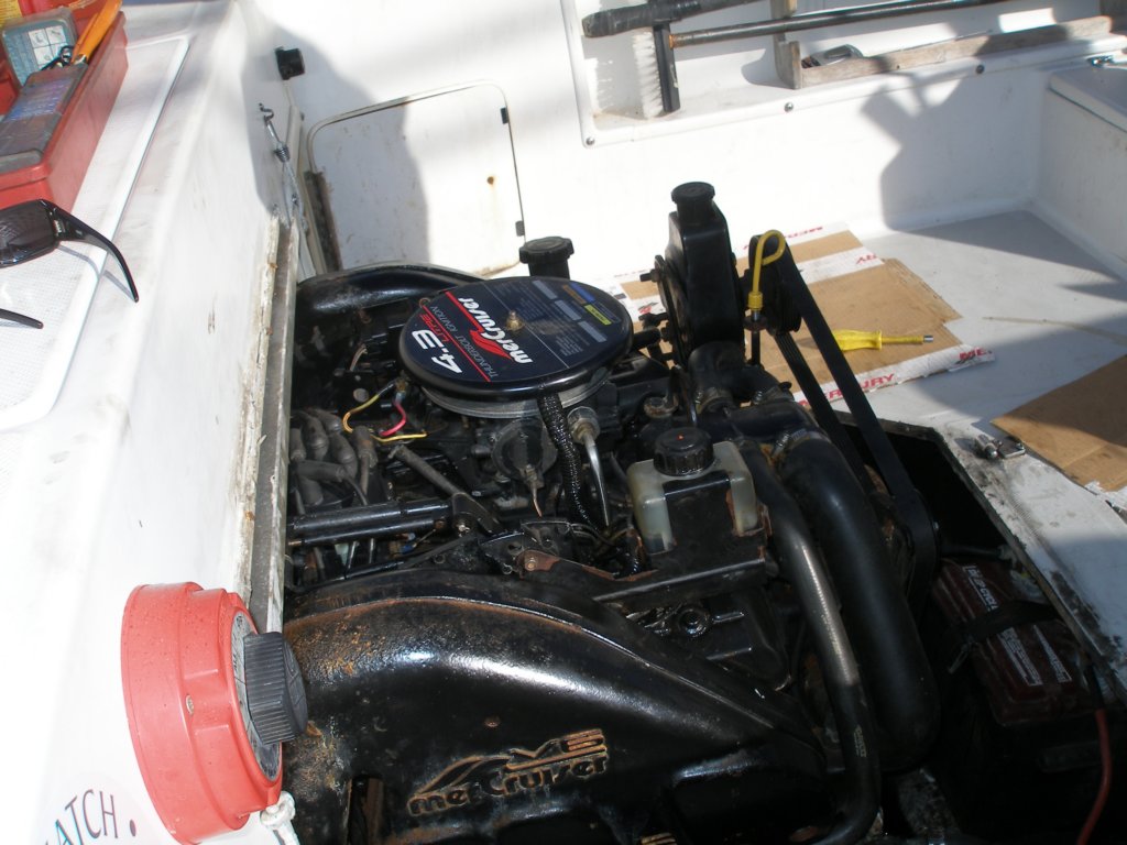 photo11.jpg