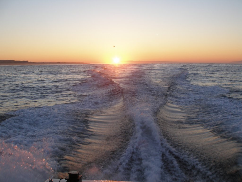photo5.jpg